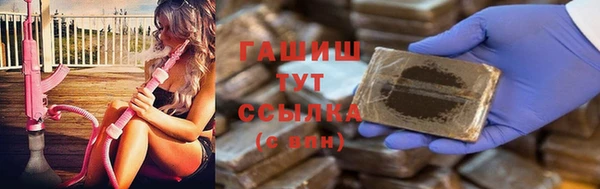 гашик Алексин