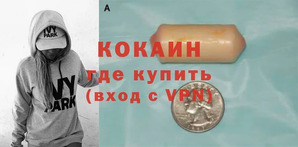 шишки Аркадак