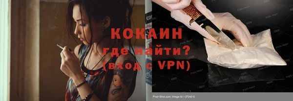 шишки Аркадак
