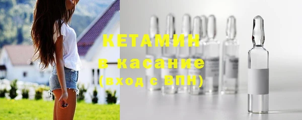 шишки Аркадак