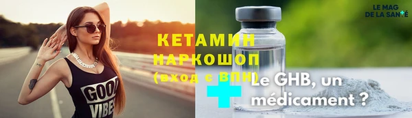 шишки Аркадак