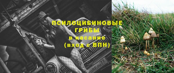 первитин Арсеньев