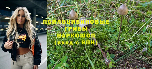 а пвп мука Армянск