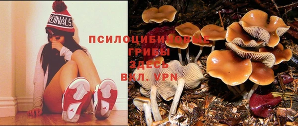 а пвп мука Армянск