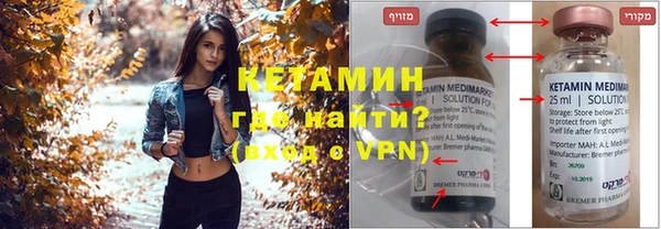 шишки Аркадак