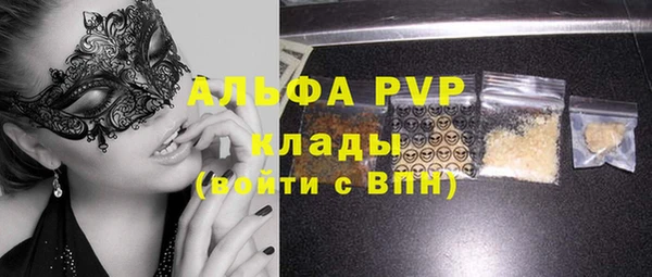 шишки Аркадак