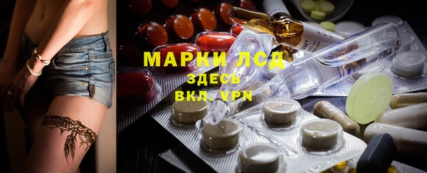 шишки Аркадак