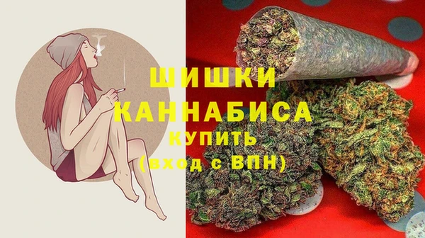 шишки Аркадак